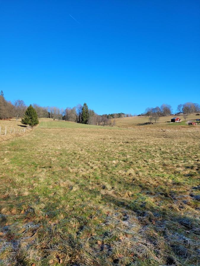 Bokskogens Guesthouse Kulltorp  外观 照片